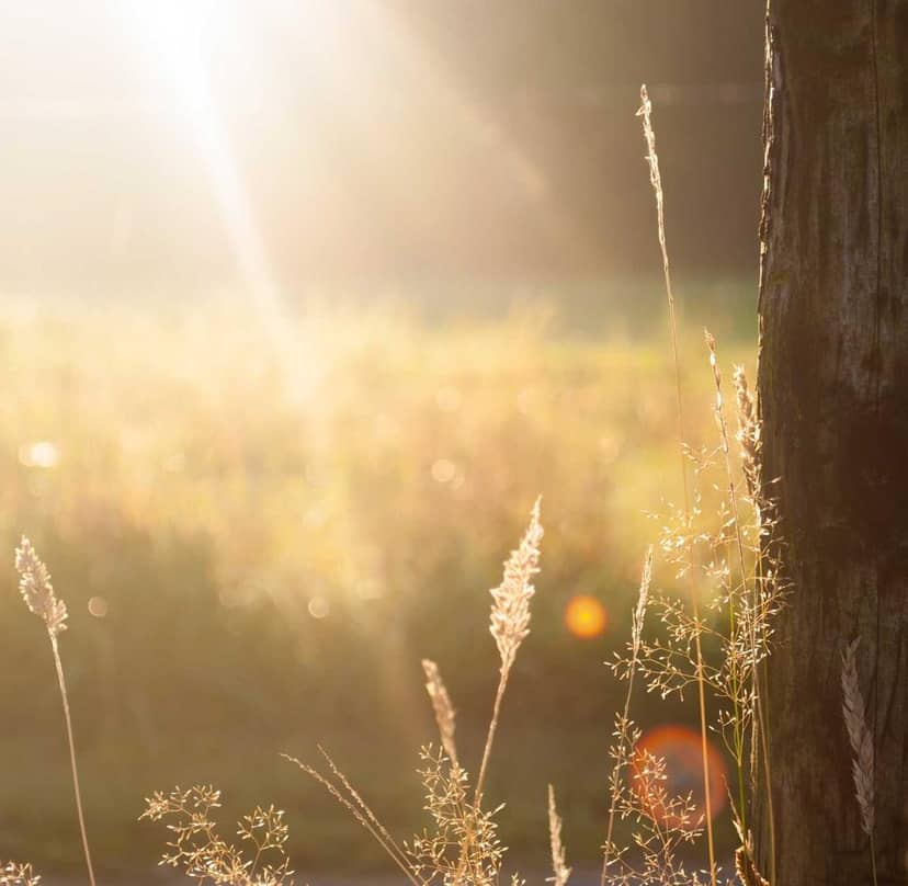 Unauth title HZQvcrJf