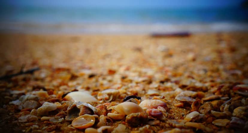 Unauth title OtBKigeM